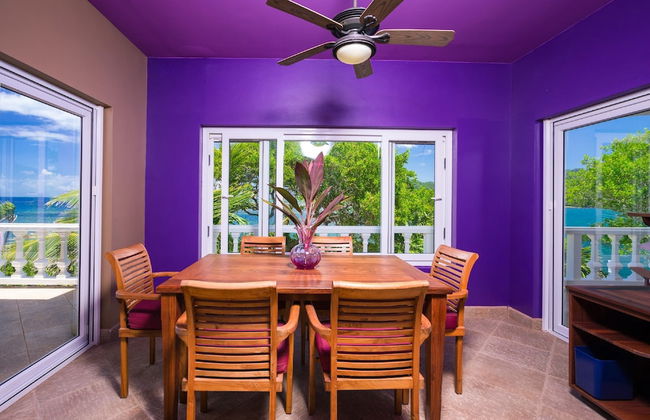 Yellow Bird - Foto 17