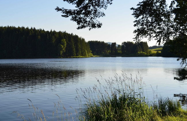 Log Cabin in Bavaria With Covered Terrace - Foto 22