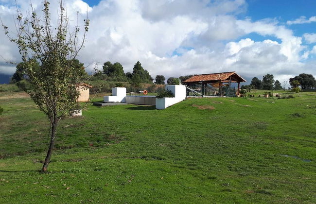 Sakura Vera - Foto 38