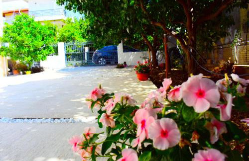 Anemoss Saranti - Photo 9