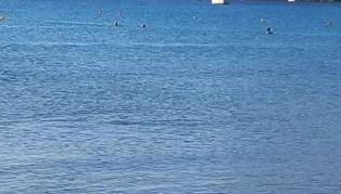 Sun Sea house - Foto 4