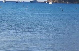 Sun Sea house - Foto 4