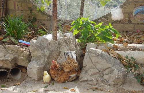 El Rincón de Carmen - Foto 137