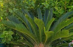 Sea View Apartments Zaboric - Foto 12