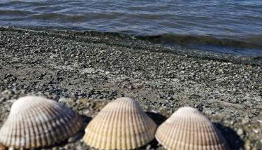 2nd Floor Studio #4 with Ocean View and Covered Deck - Foto 5