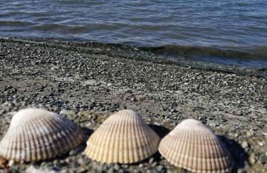 2nd Floor Studio #4 with Ocean View and Covered Deck - Foto 5