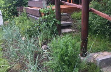 Ferienhaus zur Kranichweide - Foto 12