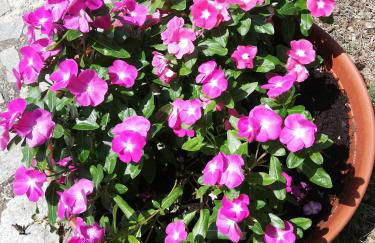 Casa Vacanze "Dimora Quercia" - Villino "Quercia" - Foto 48