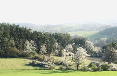 Ferienhaus Hoher Meißner - Foto 17