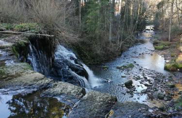 Traumplatz im Allgäu - Foto 31