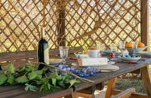 Casa RiVa - Among olive trees and the Tuscan coast - Photo 47