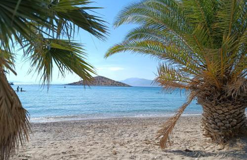 AROKARIA HOUSE - Foto 35