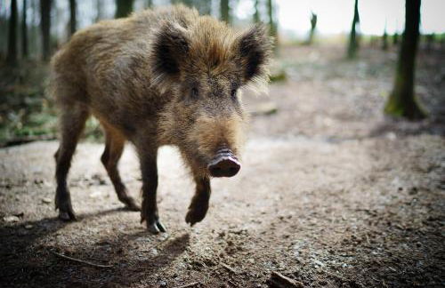 Landhaus Rhönium - Foto 26