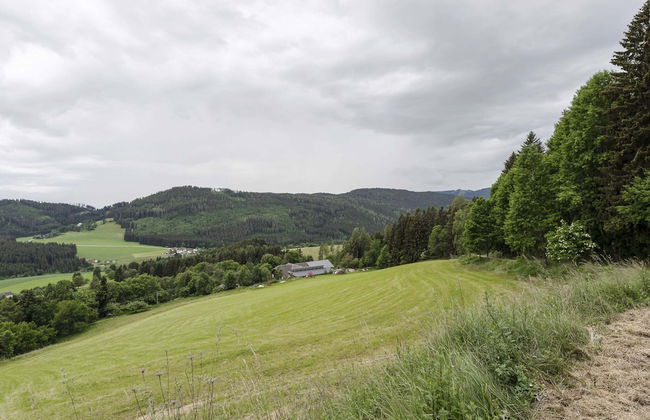 Holiday Home in Liebenfels in Carinthia - Foto 35