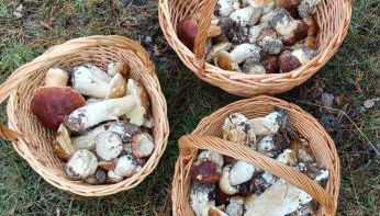 El descanso de las hadas - Foto 3