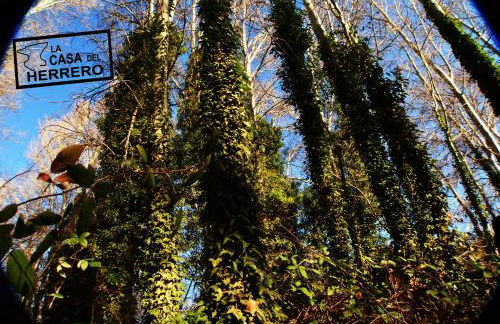 La Casa del Herrero - Foto 32