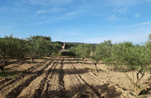 Gîte " Le Clos de la Pinède " - Foto 24