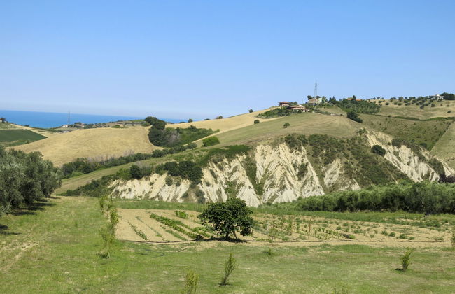 Intensivo-Elegante - Foto 23