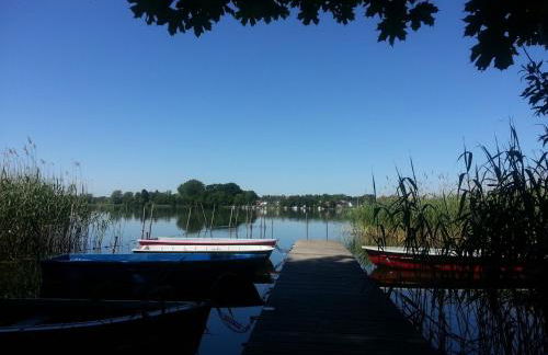 Holzhaus Waldwichtel am Wald und See - Photo 11
