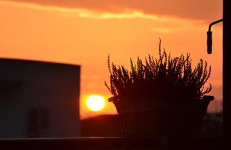 Villa Aelia - Foto 50