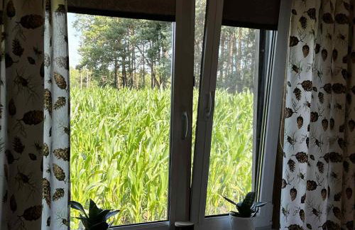 Szyszkowy Domek - Foto 24