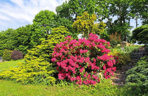 Brzozowy Zakątek - Foto 76