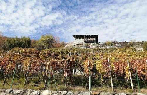 RUSTICO VIGNA casa vacanze - Foto 21