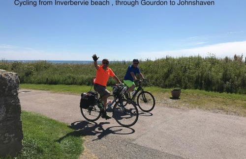 Driftwood - Photo 36