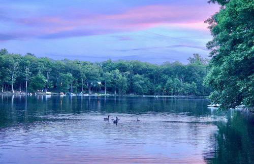 Lakefront, Pool, Hot Tub, Boats, Game Room, Pets - Foto 17