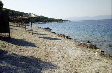 Georgia's - Photo 21