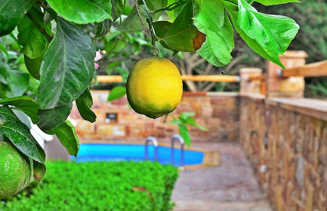 Mastiha Villas in Town - Foto 33