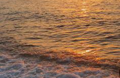 Villa la Torre Libeccio - Photo 48