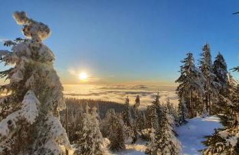 Ferienhaus Tonihof - Foto 53