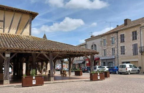 House with large private garden in Villereal - Foto 9