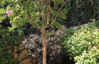 Los Rosales de Venturada - Foto 46