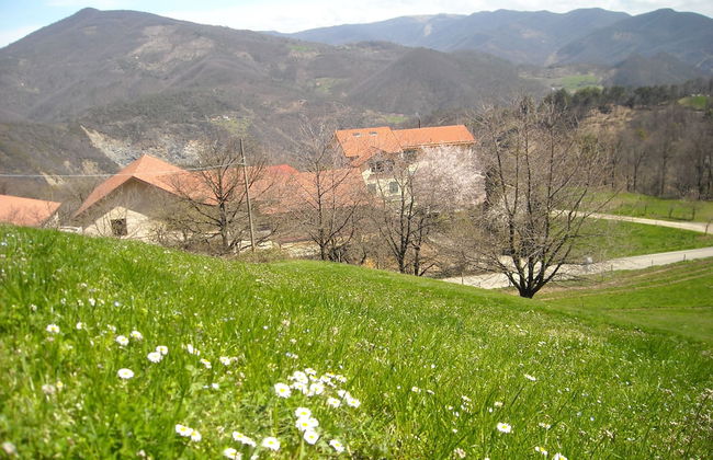 Azienda Agrituristica Lavagè - Foto 22