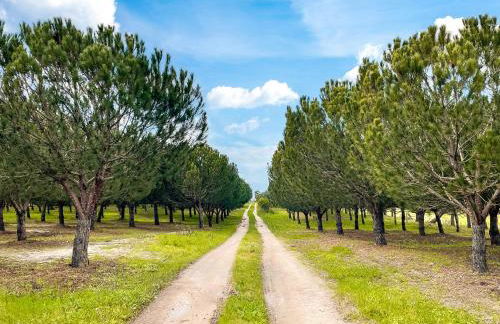 Quinta do Cutato - Beatriz Guest House - A2 - Foto 16