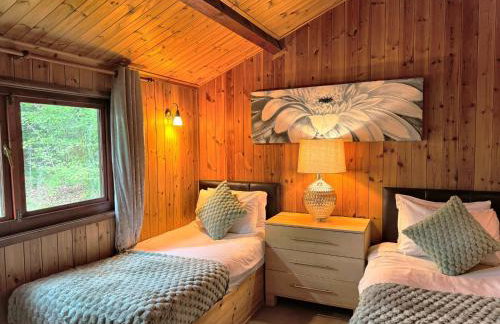 Snowdrop 14 - Dog Friendly - Hot tub--Tenby-Pendine - Foto 14