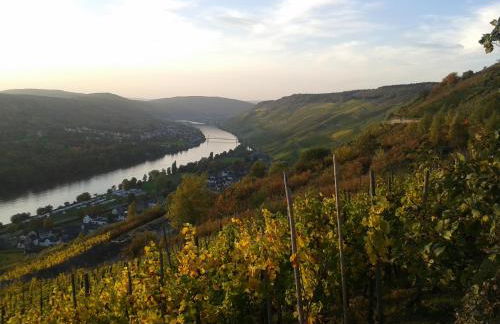 Apartment an der Mosel 1 - Foto 67