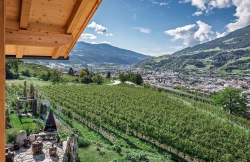 Steindlgut - Weinberg Chalets - Foto 11