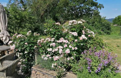 Kutscherstube Gutshof Fürstenberg - Foto 36