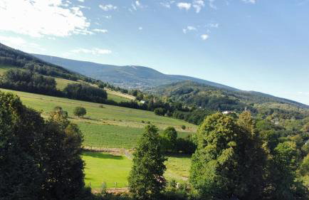 Sękowy Domek - Foto 40