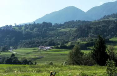 Mini Maule - Foto 34