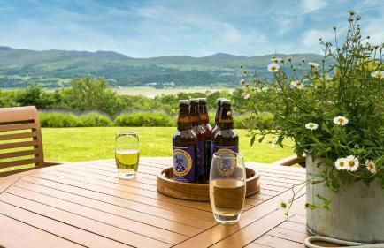 Hafod Cae Maen - Foto 27