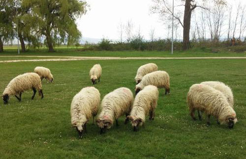 Waterfall House Getaway - Photo 34