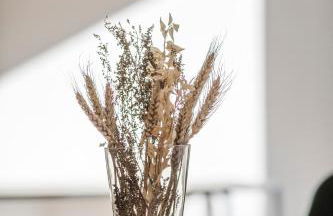 JAMA Natur Pur, Freies Parken, Gruppe&Familie - Foto 53