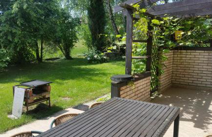 Świnna - Brzozowy Zagajnik - Foto 40