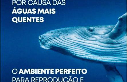 Recanto do Sossego - Foto 69