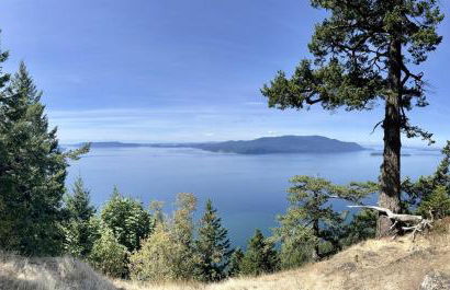 Driftwood Dreams - Foto 73