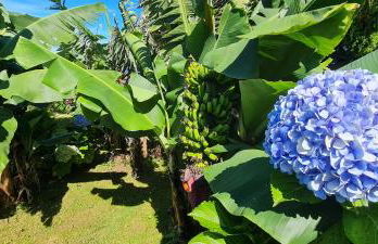 Casa Miramar - Photo 8